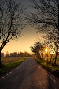 Beautiful rural road lined with bare trees at sunset, creating a peaceful, scenic view.