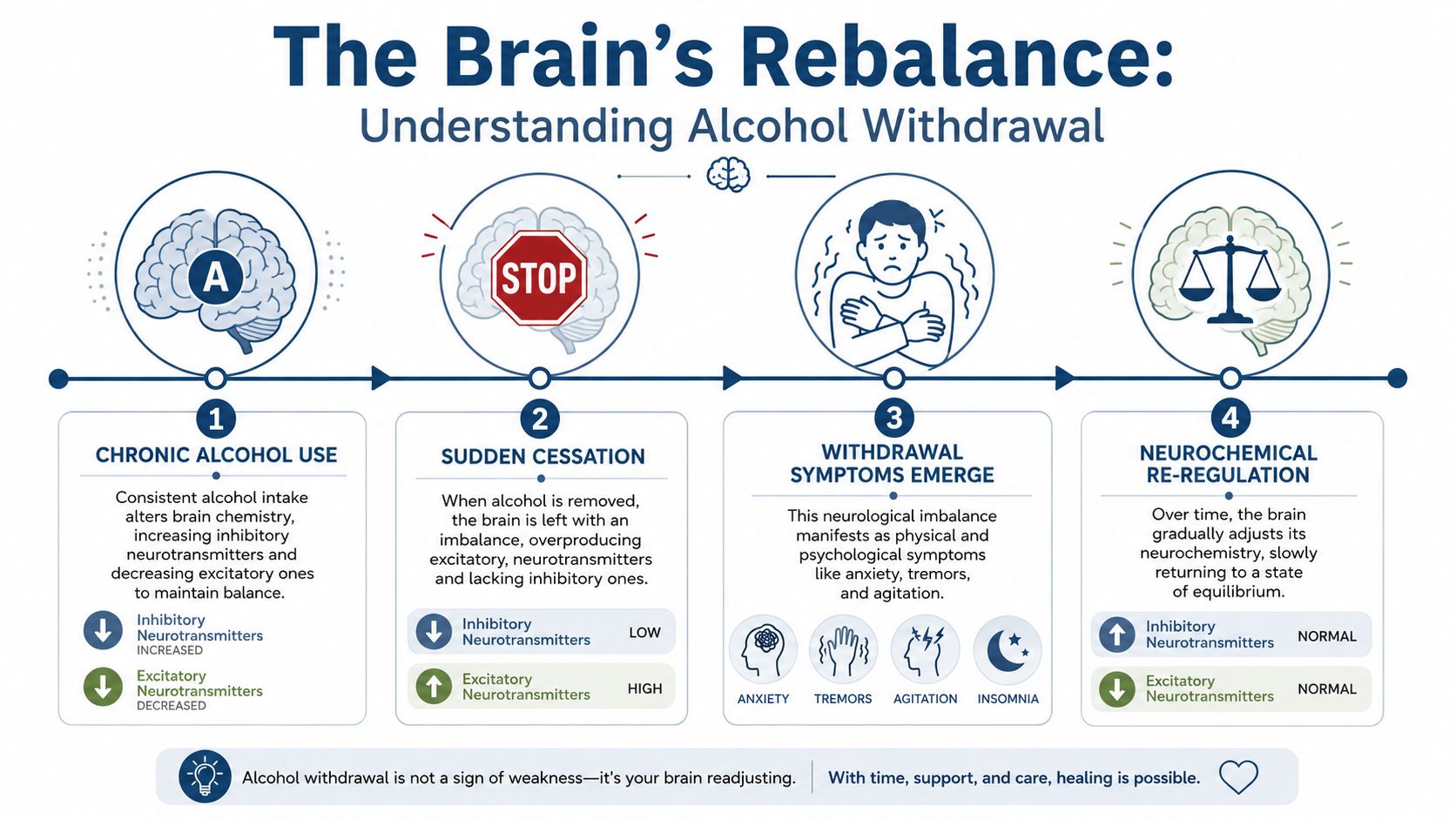 A four-step infographic explaining how alcohol withdrawal impacts brain chemistry and neurochemical balance over time.
