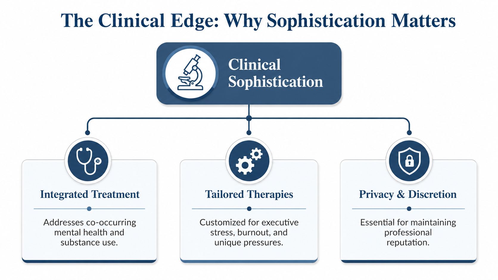A diagram illustrating clinical sophistication, highlighting integrated treatment, tailored therapies, and privacy for professionals.