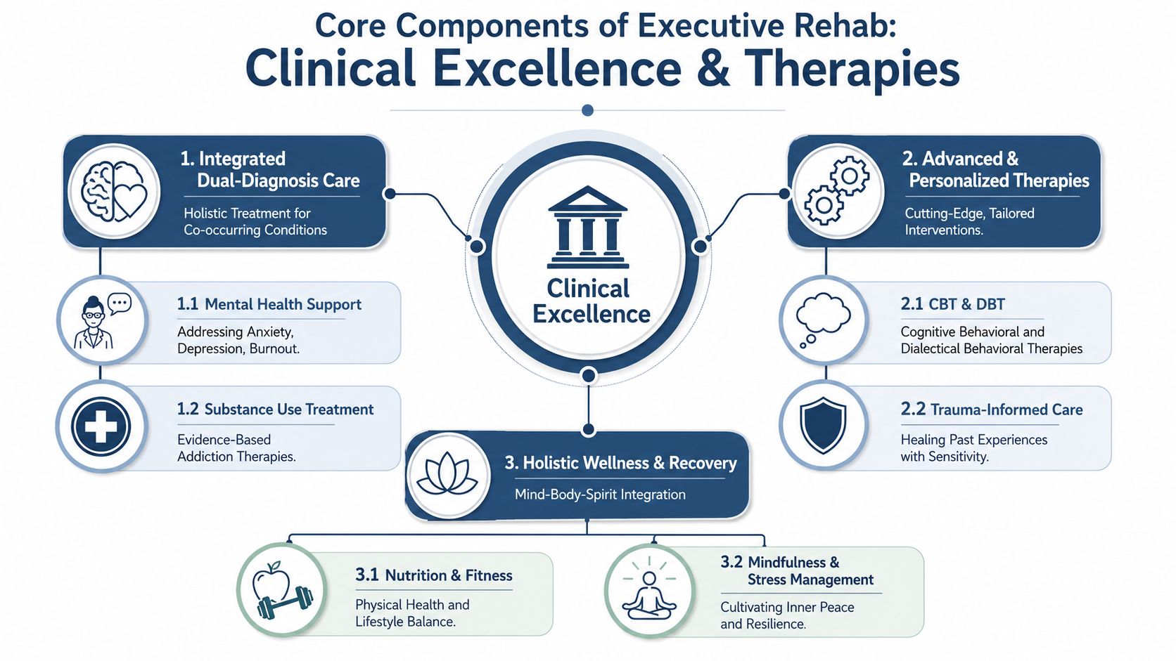 A diagram outlining the core components of executive rehab, focusing on clinical excellence, therapies, and holistic recovery methods.
