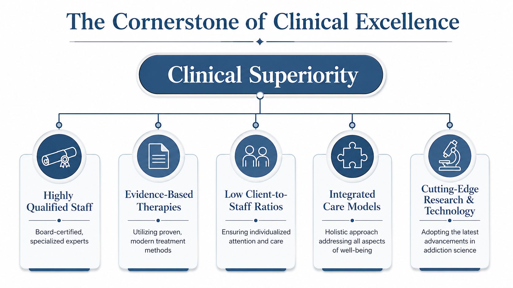 A diagram illustrating the core pillars of clinical excellence in a high-end rehabilitation and treatment facility.