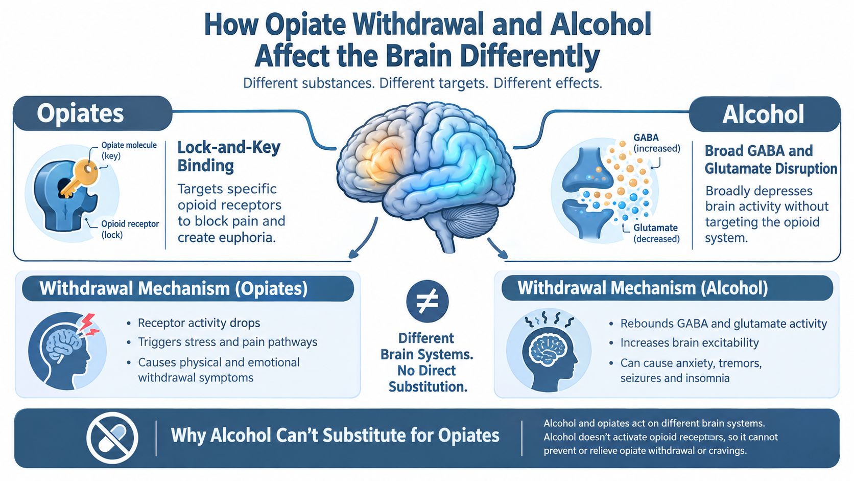 An infographic comparing the distinct brain mechanisms of opiate and alcohol withdrawal and their effects.