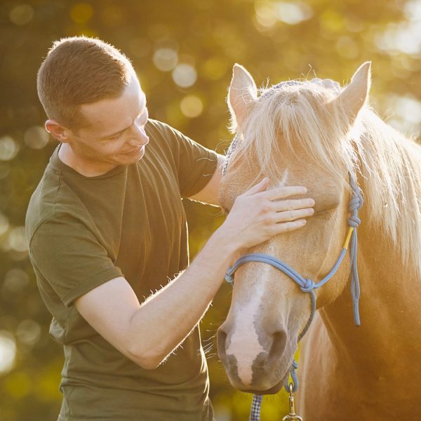 Man,Is,Embracing,Of,Therapy,Horse.,Themes,Hippotherapy,,Care,And