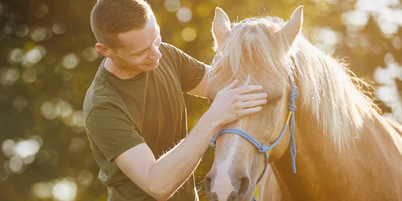 Man,Is,Embracing,Of,Therapy,Horse.,Themes,Hippotherapy,,Care,And